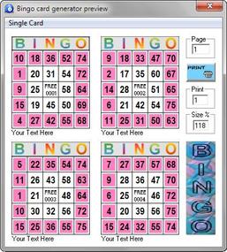 bingo caller program